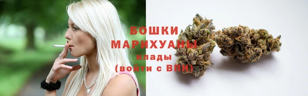 сатива Горно-Алтайск