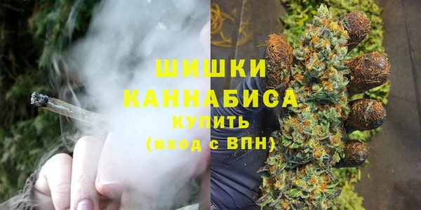 сатива Горно-Алтайск